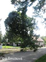 průběh stavební akce